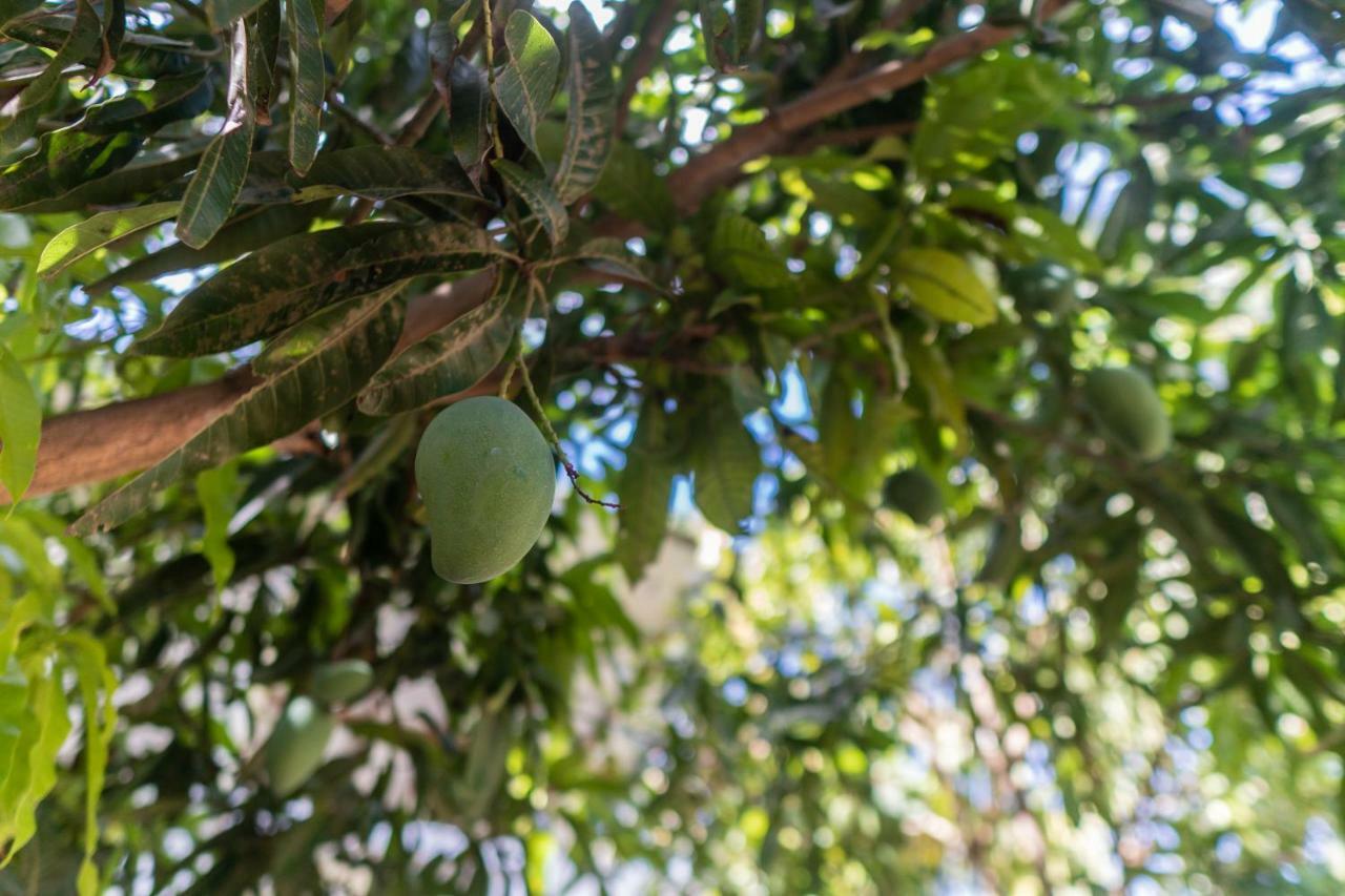 Mango Shade Weligama Apartment Exterior photo